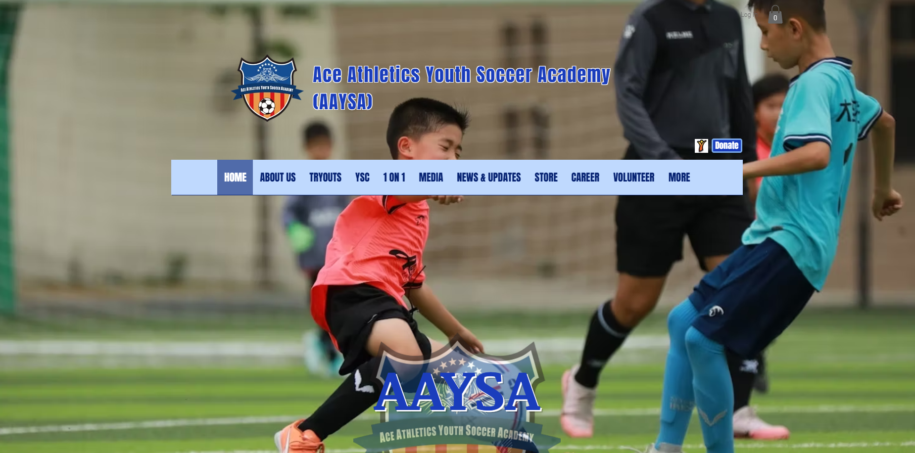 Ace Athletics Youth Soccer Academy